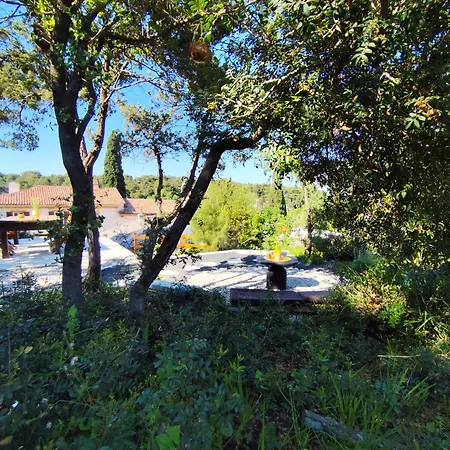 公寓 Grotta 普拉